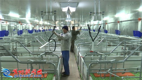 科技賦能，智慧農業為我市農業插上騰飛之翼