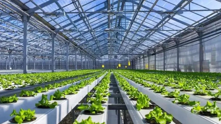 智慧農業新突破 山東省設施園藝智慧農業裝備重點實驗室獲批成立